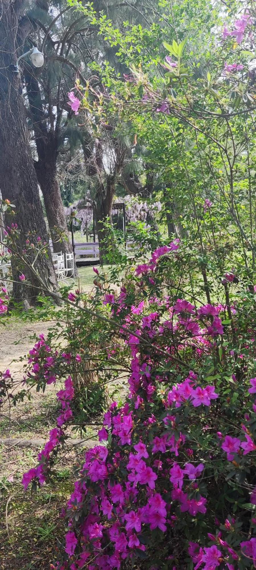 Ruca Hueney Holiday home Tigre